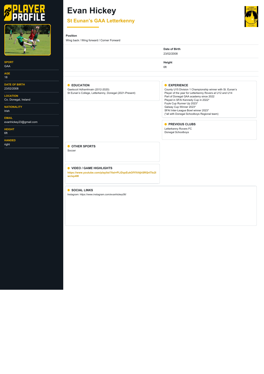 Evan Hickey sample CV